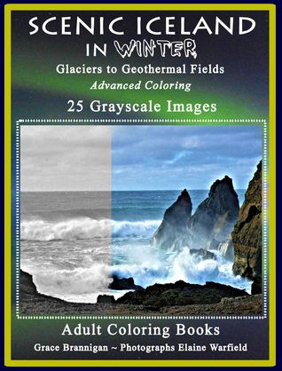 Download Scenic Iceland in Winter: Glaciers to Geothermal Fields: Advanced Coloring 25 Grayscale Images - Grace Brannigan file in ePub