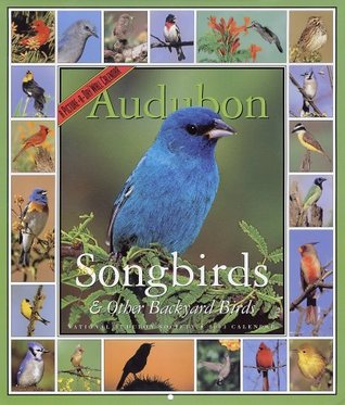 Full Download Audubon 365 Songbirds and Other Backyard Birds Calendar 2003 - National Audubon Society | ePub