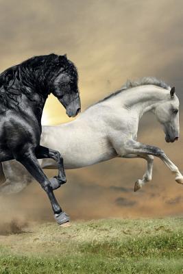 Read Online Horse May Notebook & Journal. Productivity Work Planner & Idea Notepad: Brainstorm Thoughts, Self Discovery, To Do List - Equine Life | ePub