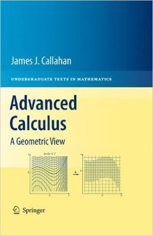 Read Online Advanced Calculus: A Geometric View (Undergraduate Texts in Mathematics) - James J. Callahan file in ePub