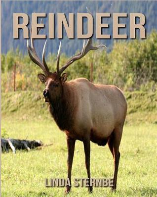 Read Online Reindeer: Amazing Pictures and Facts about Reindeer - Linda Sternbe file in ePub