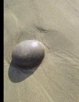 Download Beach Rock at Low Tide, Dot Grid Composition Notebook Paper: 1/4 Inch Spaced Dots, 160 Pages, 4 Squares Per Inch -  file in PDF