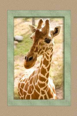 Read Online Journal: Giraffe Design Cover - Blank Journal / Sketch / Drawing Book - 6 X 9 Paper - Unlined Notebook / Diary - 100 Pages -  | ePub