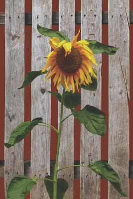 Full Download Floral Sunflower Journal: A flexible paperback book with glossy finish. Interior pages are wide ruled and embellished with smaller sunflowers. This versatile notebook is great for men or women to write ideas, notes, plans, daily reflections or guest book. - Amy Price | PDF