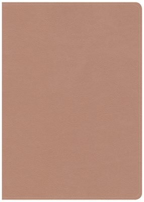 Download CSB She Reads Truth Bible, Rose Gold LeatherTouch - CSB Bibles by Holman file in PDF