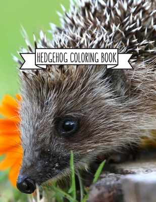 Read Online Hedgehog Coloring Book: Hedgehog Lover Gifts for Toddlers, Kids or Adult Relaxation Cute Stress Relief Animal Birthday Coloring Book Made in USA - Shayne Coloring Book | ePub